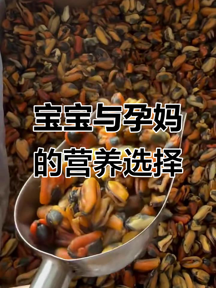 淡菜干富含蛋白质,宝宝成长必备,孕妇营养加分