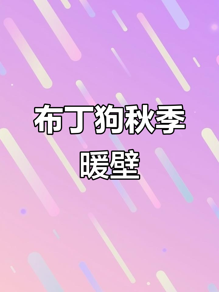 秋天暖色系布丁狗壁纸,枫叶与相机搭配更美