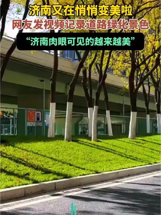 济南又在悄悄变美啦,网友发视频记录道路绿化景色,“济南肉眼可见的越来越美”