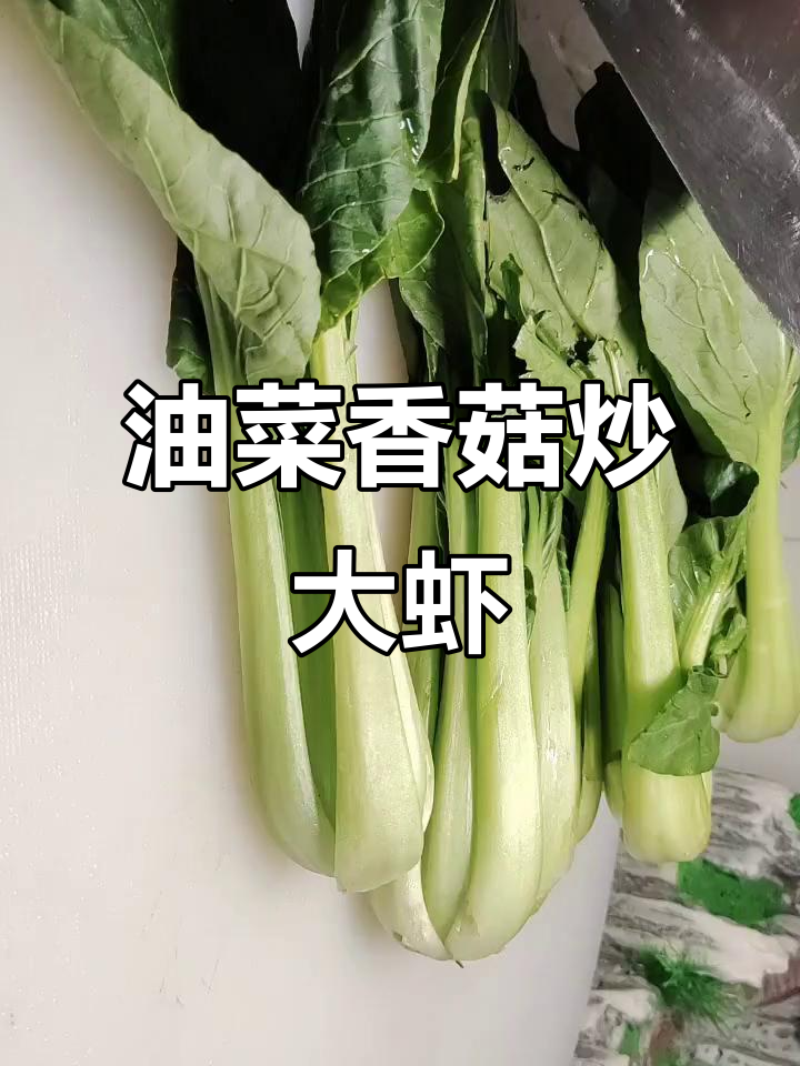 香菇油菜炒虾仁,简单又美味!教你保持青菜翠绿的小技巧
