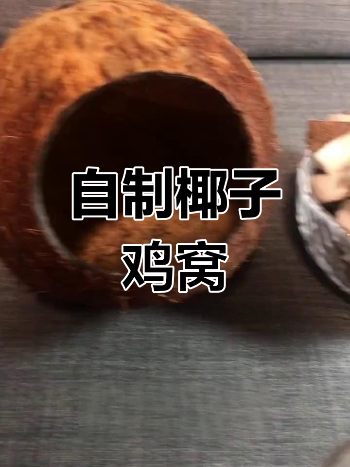 椰子壳变鸡窝DIY教程