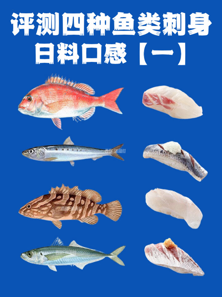 日料美食评测四种鱼类刺身「一」
