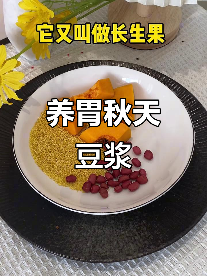 秋季养生豆浆,小米南瓜花生红枣搭配破壁机轻松做