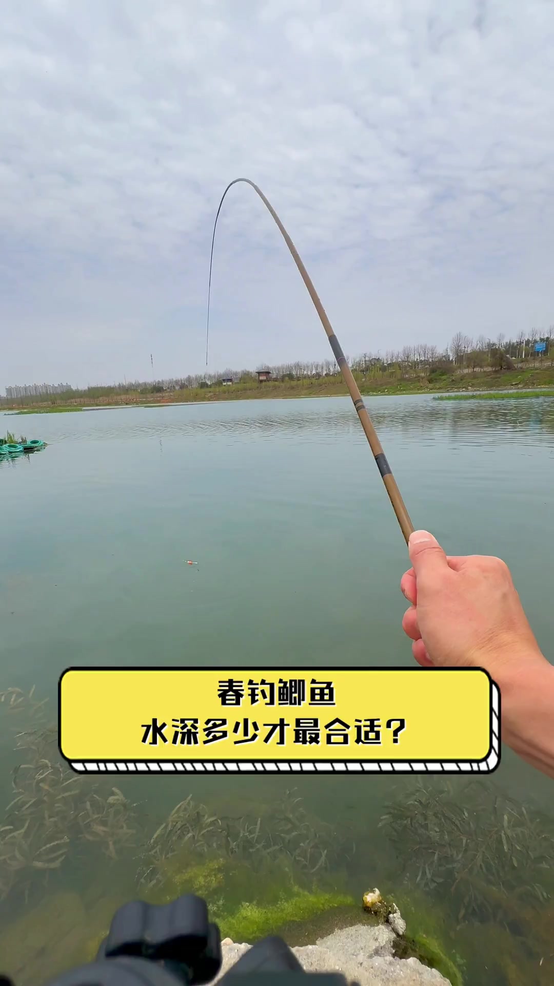 春钓鲫鱼,水深多少才最合适?