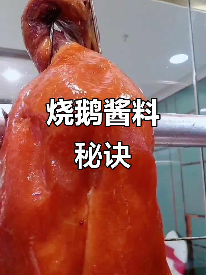 烧鹅酱料秘方，多种调料混合，香气扑鼻！