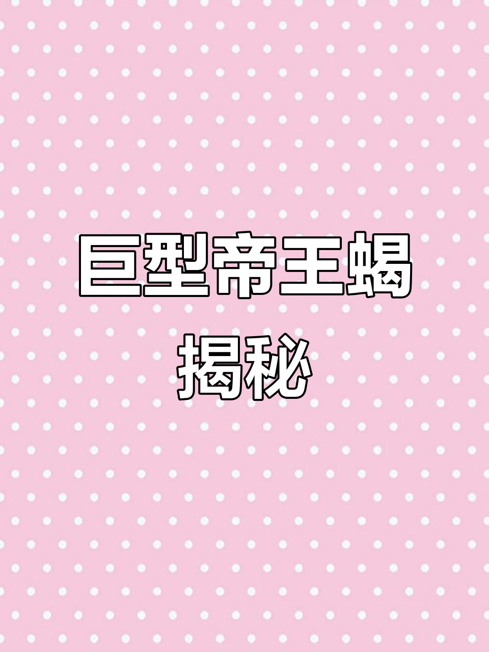非洲帝王蝎:体型巨大却毒性小,捕食靠力量而非毒液