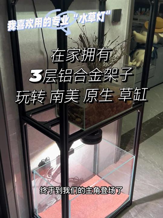 在家拥有3层铝合金架子玩转 南美 原生 草缸