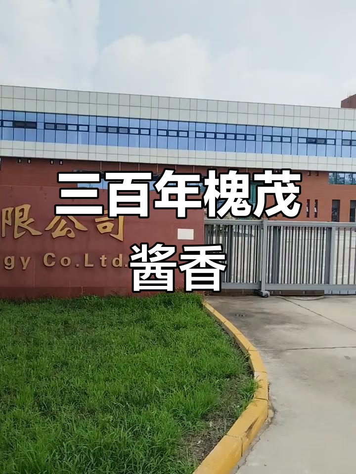 保定槐茂:三百年的酱香传承与匠心工艺