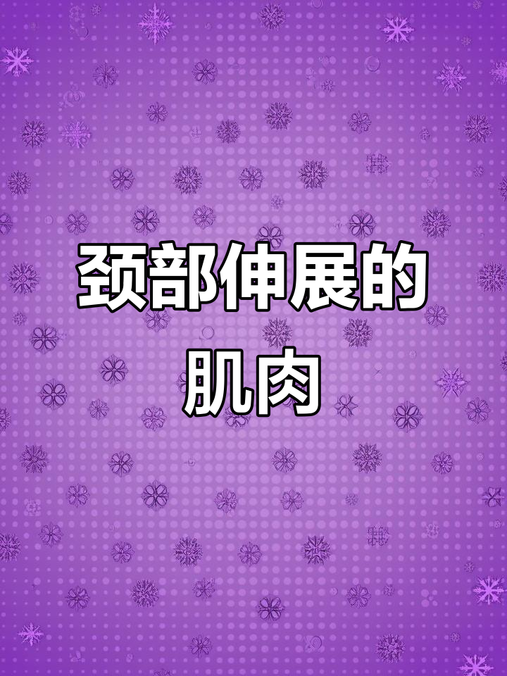 颈部肌肉解剖:了解伸展动作背后的力量