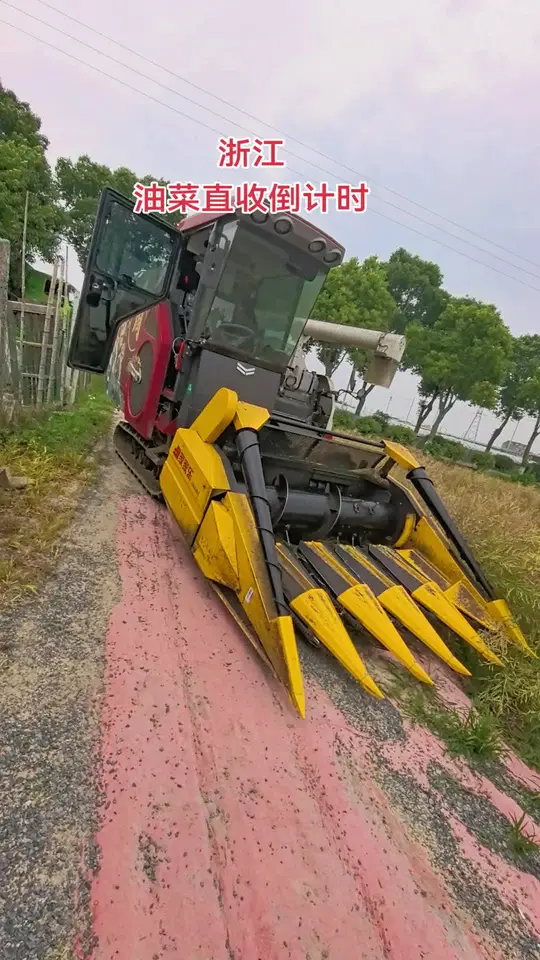 洋马1180收割机助力农机人实现油菜直收作业