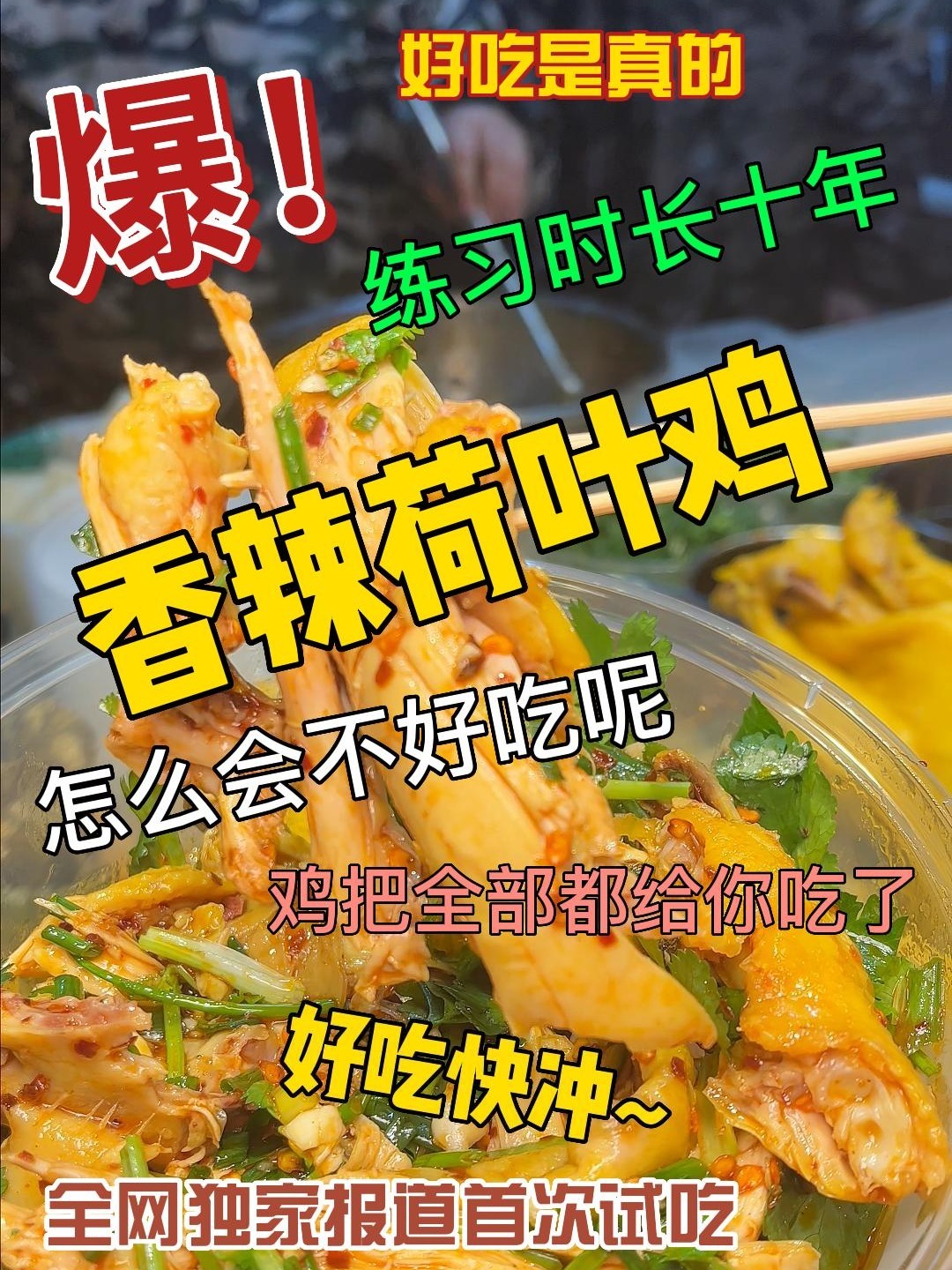 长沙10年的老字号~荷叶鸡~