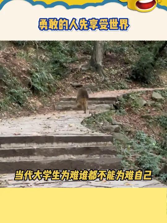 大学生省钱路上的明灯 大学生 勇敢的人先享受世界 芭芭鸭童鞋