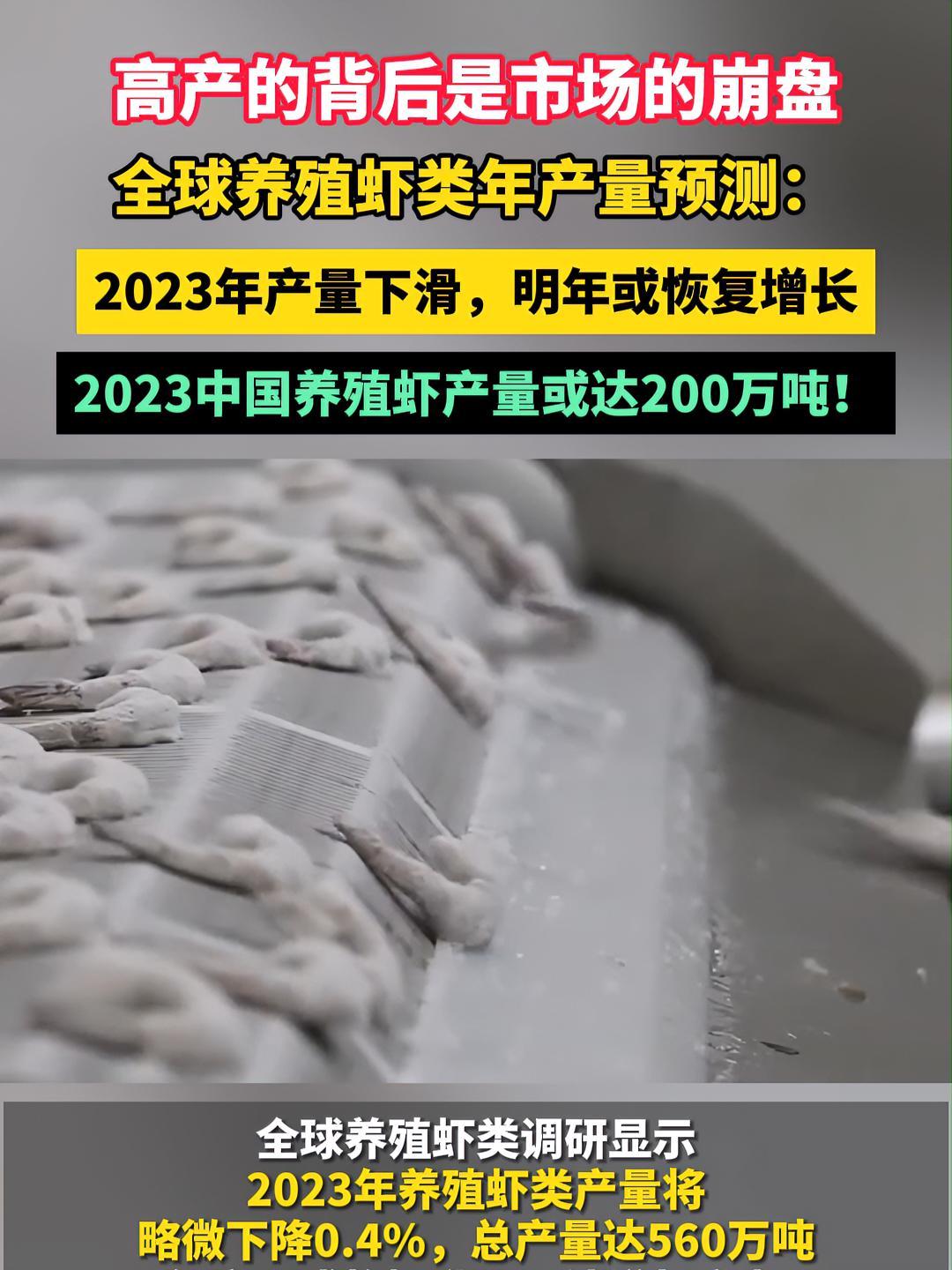 2023中国养殖虾产量或达200万吨!全球养殖虾类年产量预测:2023产量下滑,明年或恢复