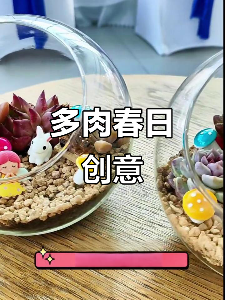 春季多肉微景观,轻松制作,吸引顾客的好活动!