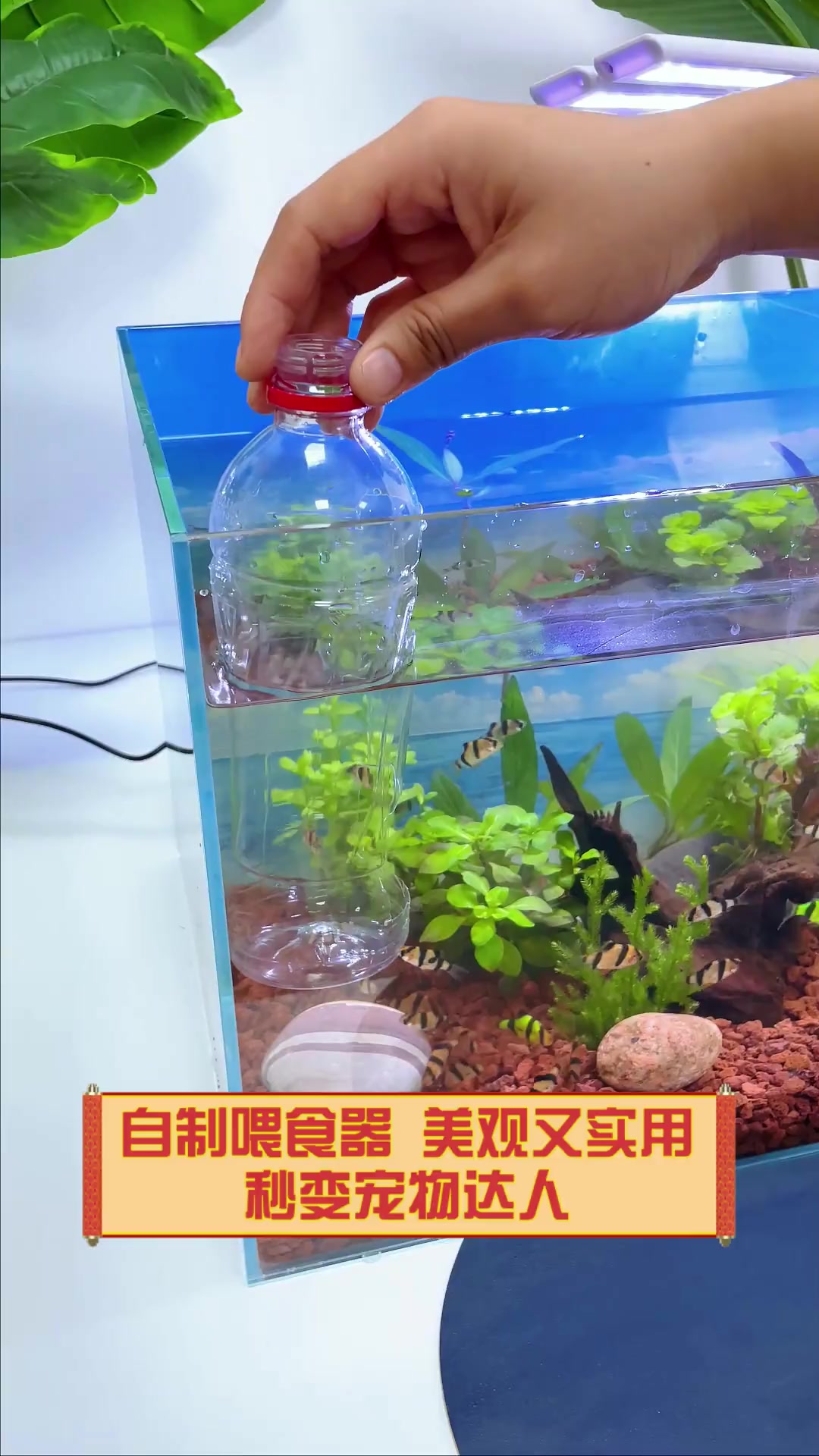 自制喂食器,美观又实用,秒变宠物达人