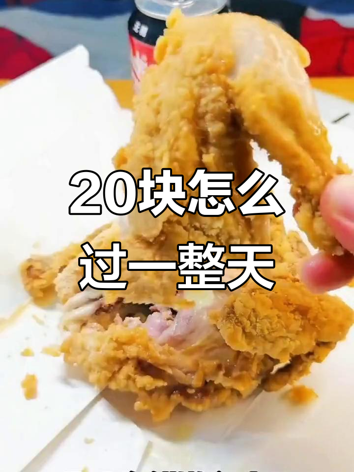 20元挑战：如何用这有限的预算吃好一天？