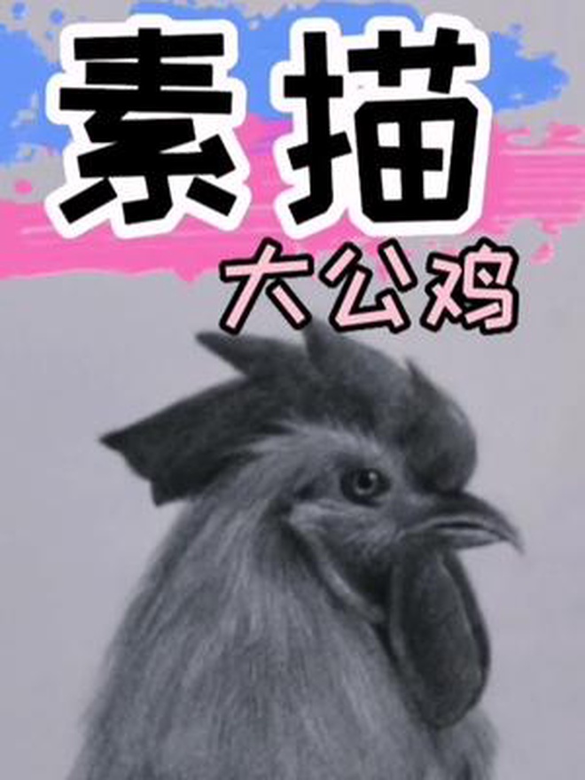 大公鸡详细画法!