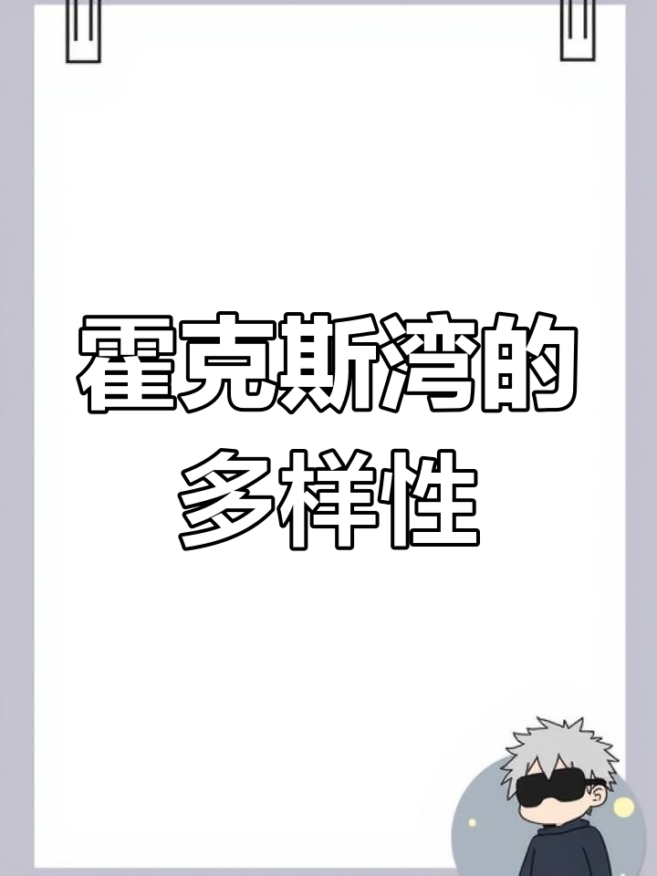 新西兰霍克斯湾:多元葡萄酒产区探秘