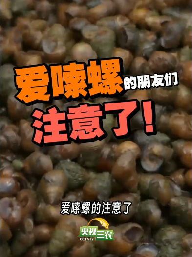这种螺一口致命,千万别吃