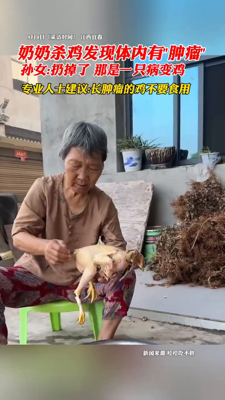 奶奶杀鸡发现体内有“肿瘤”,孙女:扔掉了,那是一只病变鸡