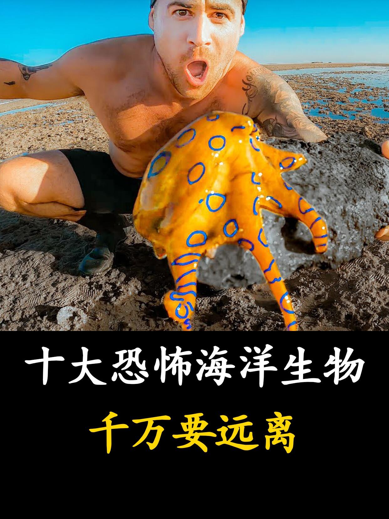 十大恐怖海洋生物!