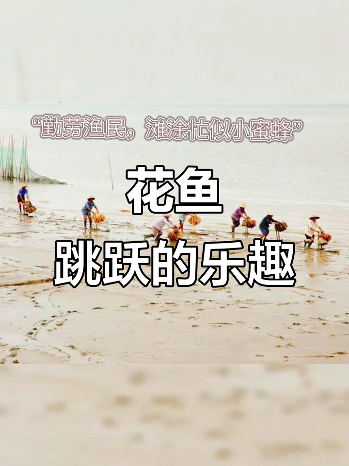 泥鱼:花鱼与跳跳鱼的奇妙世界