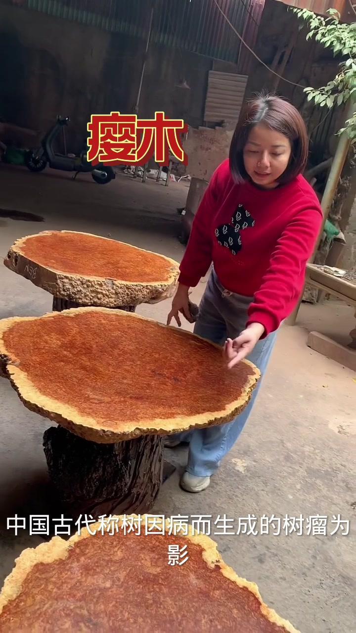 瘿木也称影子木 影子木 瘿木