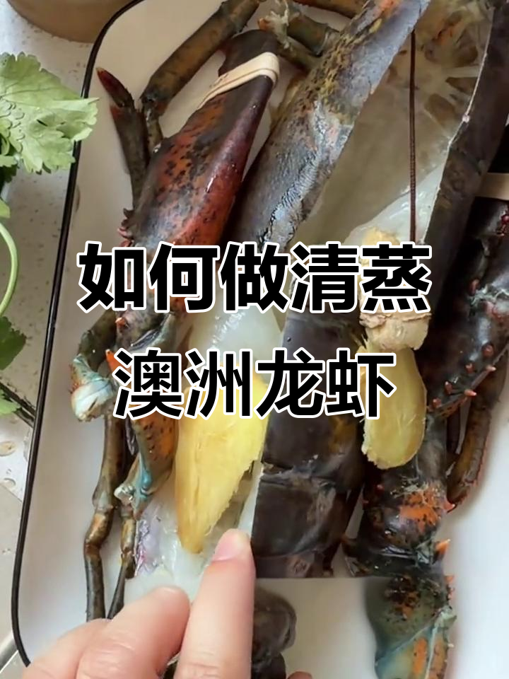 澳洲龙虾蒸法全揭秘,年夜饭必备美味!