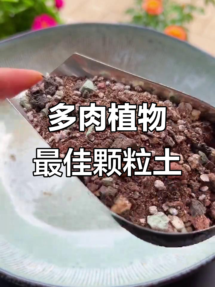 控颜色养老桩,颗粒土配比全攻略