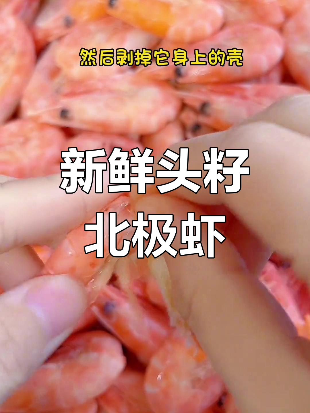 北极甜虾,头籽更美味