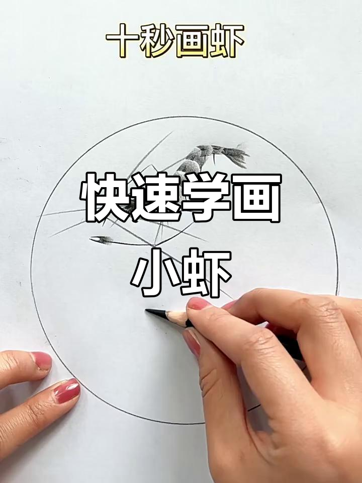 十秒学会画可爱小虾,简单又好玩