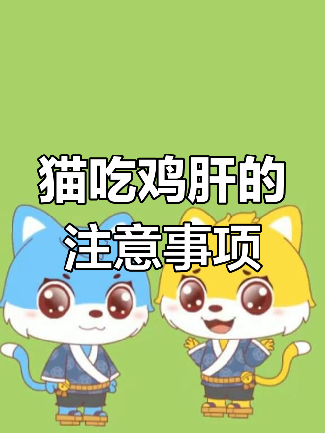 猫咪吃鸡肝有禁忌,了解这些情况很重要!