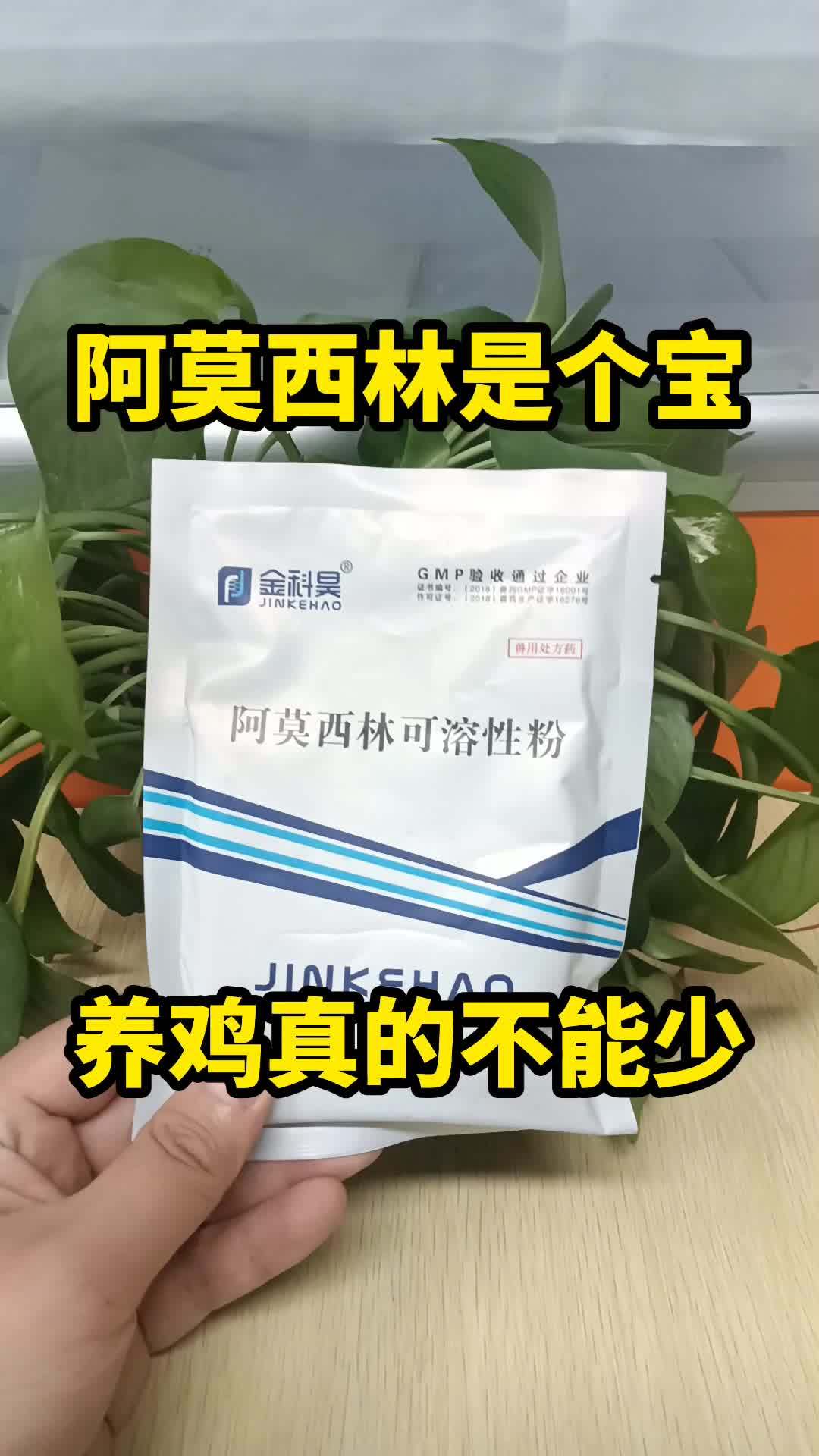 农村散养土鸡 散养土鸡 养鸡 生态散养土鸡 科学养鸡