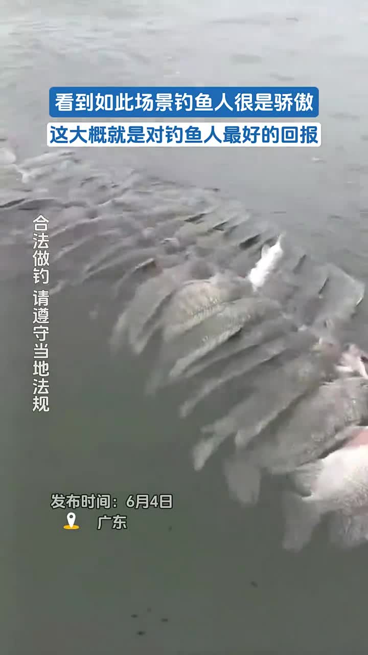 看到这场景,钓鱼人骄傲了!