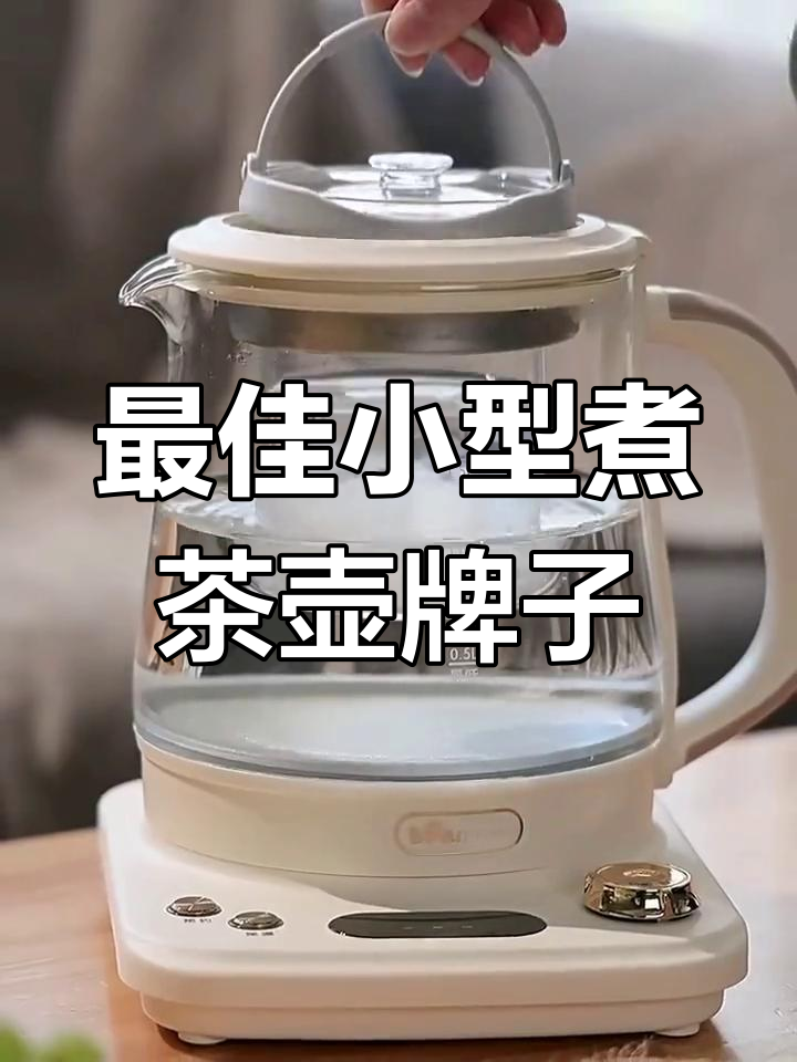 小型煮茶壶品牌推荐,哪个最值得买?