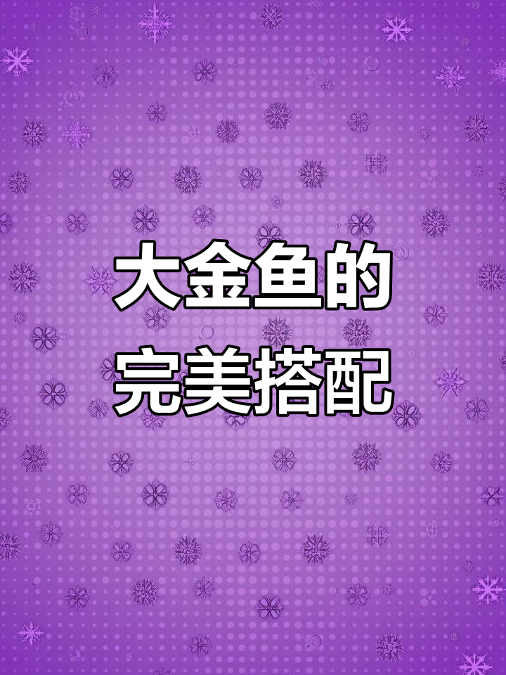 非洲拍摄必备!大鲸鱼高速卡助力高清四K六零帧无压力