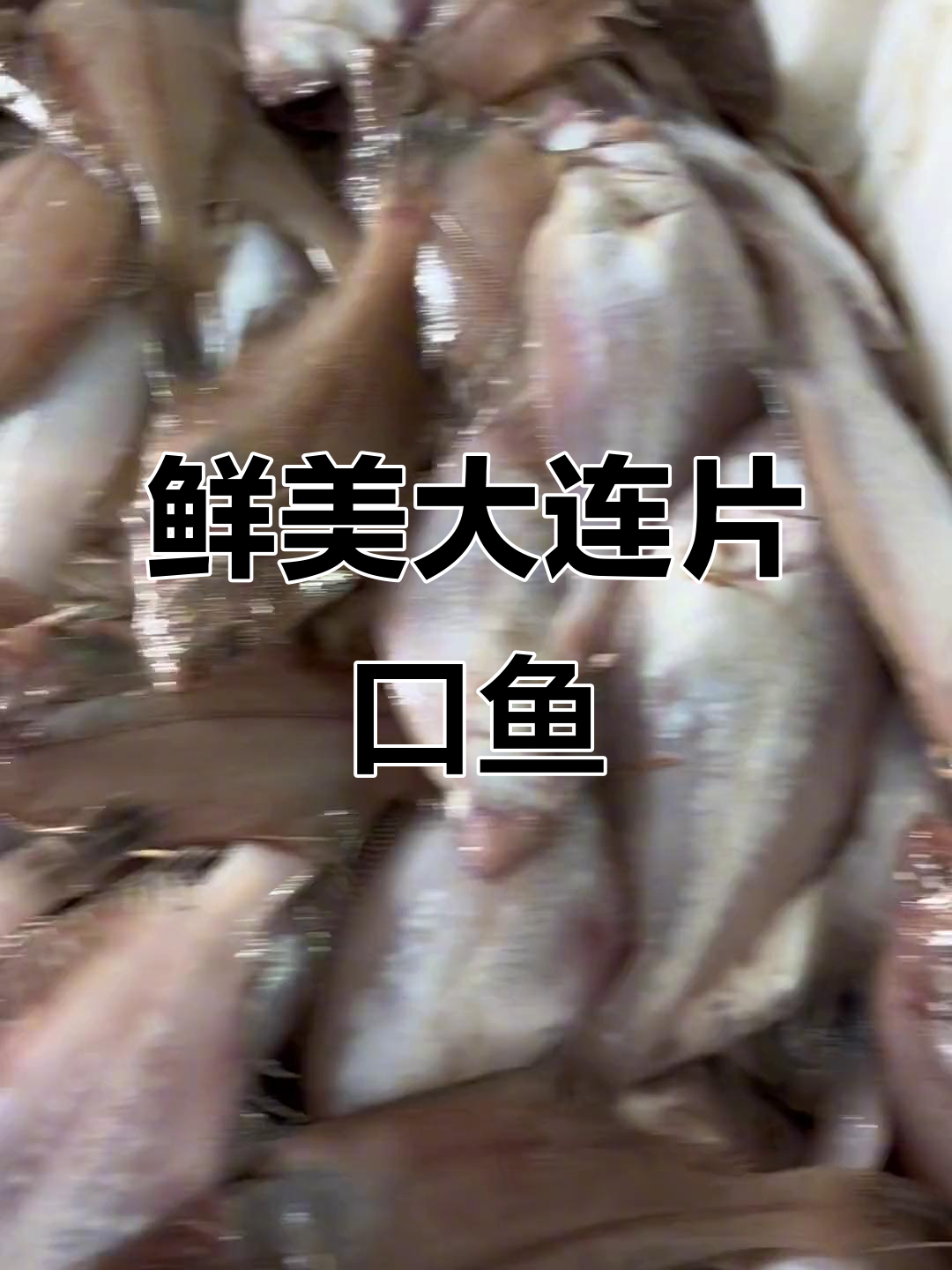 大连新鲜偏口鱼,油炸炖汤都超美味