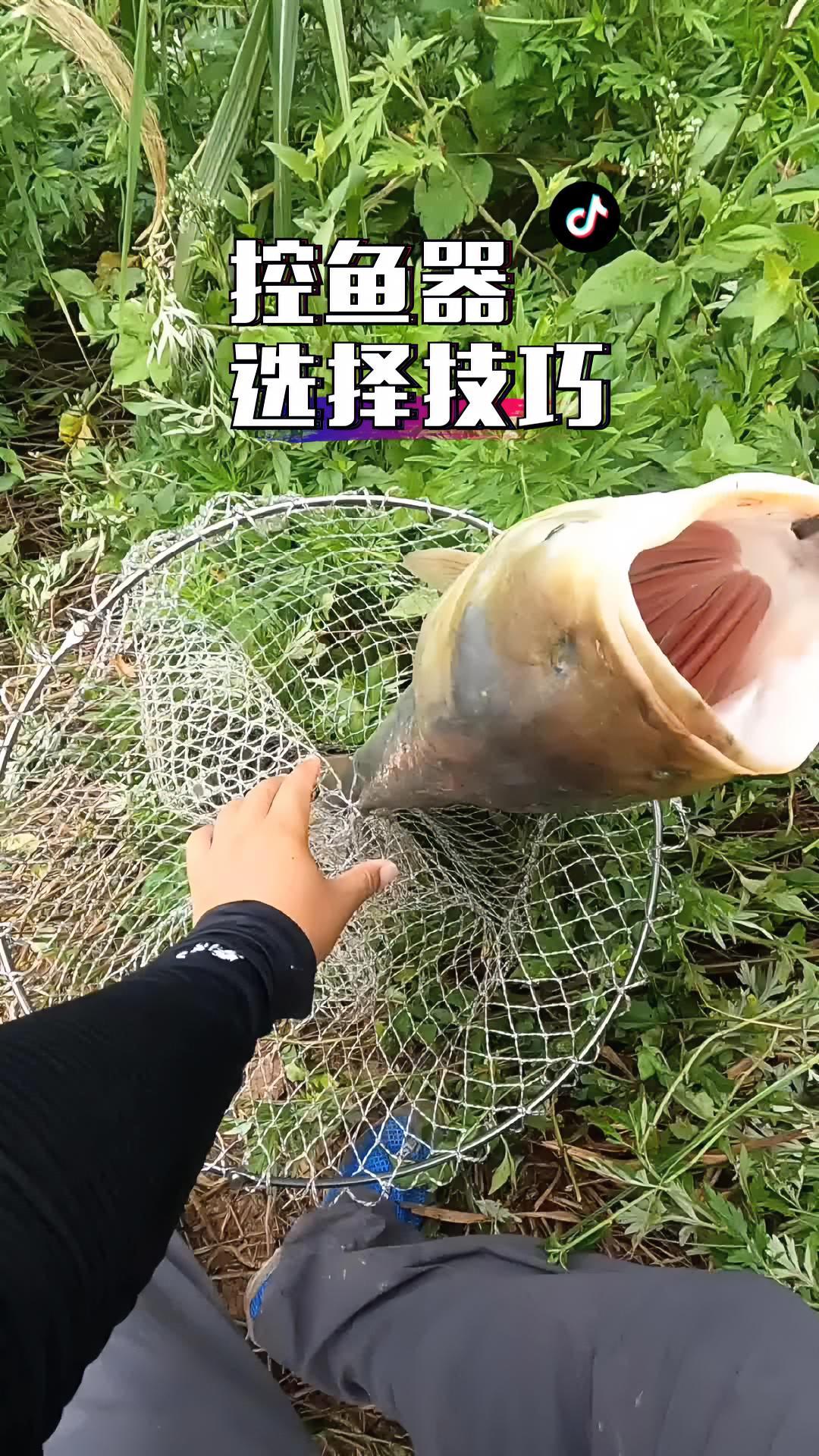 钓大鱼为什么要用控鱼器呢?那又该怎么去选择一款好的控鱼器呢?好经验分享来了!钓鱼 渔具用品