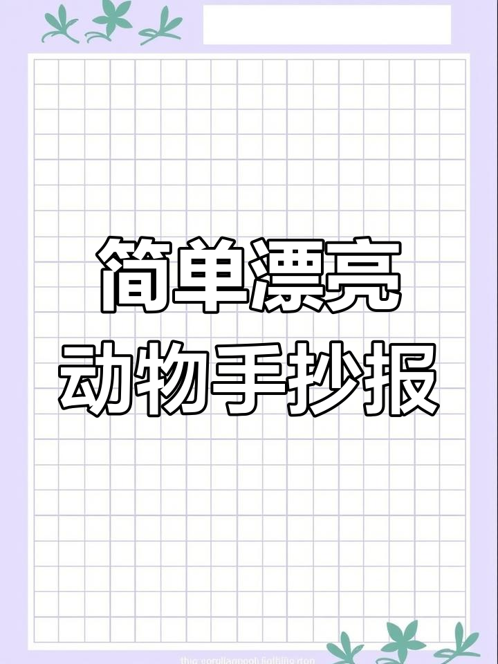小学英语动物手抄报教程