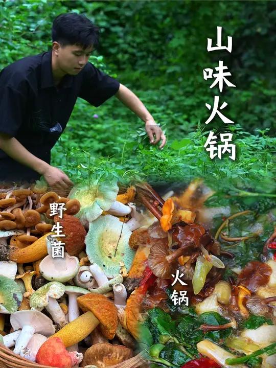 秋天的第一口鲜 上山捡菌子,摘野菜,煮出一锅秋天的鲜味,全是大自然的馈赠!