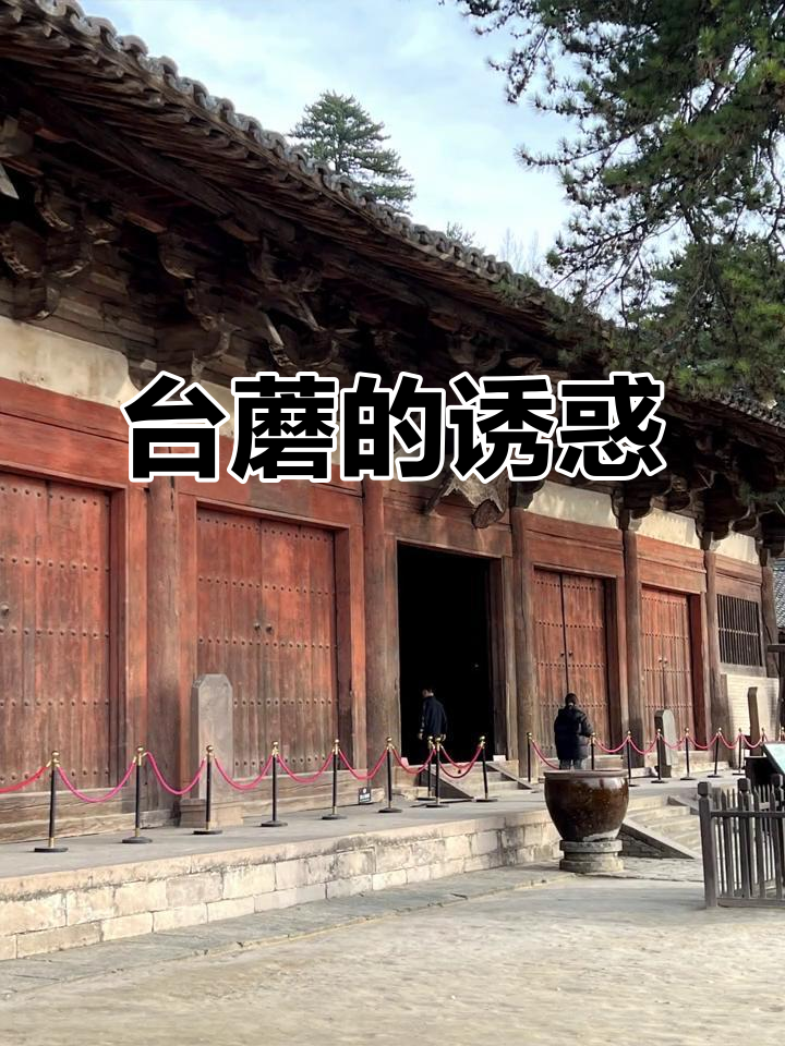 五台山蘑菇,鲜美无比,佛系美味,吃一次就停不下来!