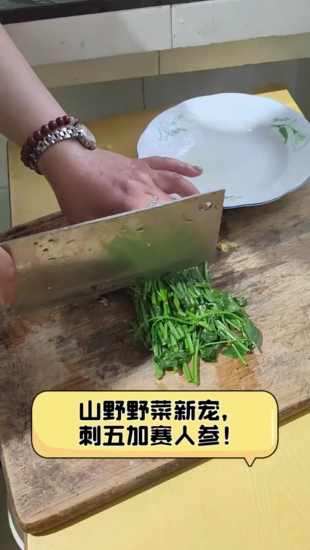 山野野菜新宠，刺五加赛人参！