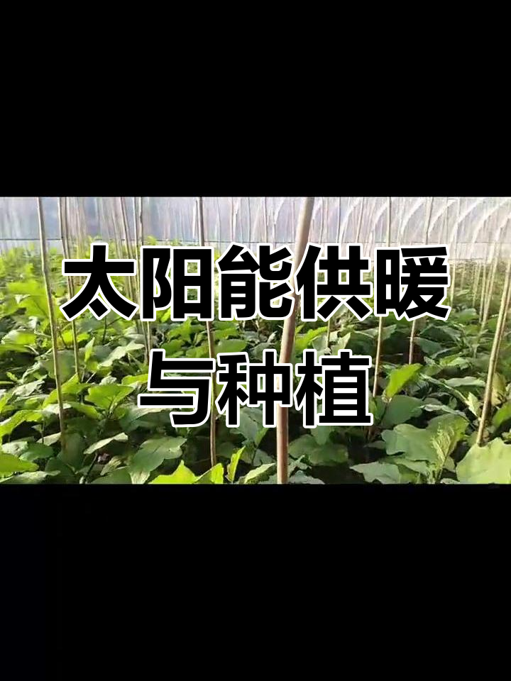 太阳能驱动的隐形温室,解决北方冬季蔬菜问题