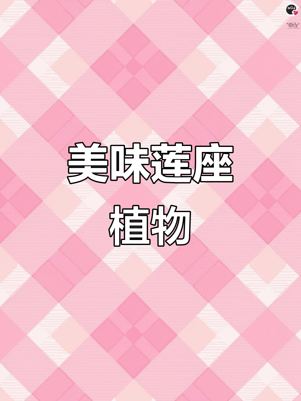 这种莲座植物,焯水后凉拌超好吃!