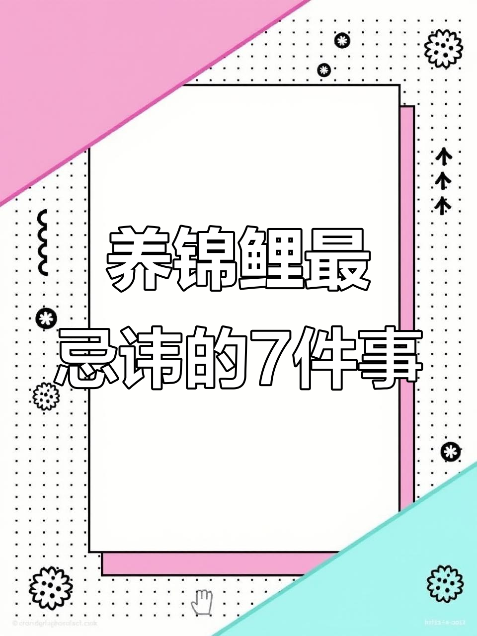 锦鲤鱼缸养护7大禁忌,避免这些常见问题