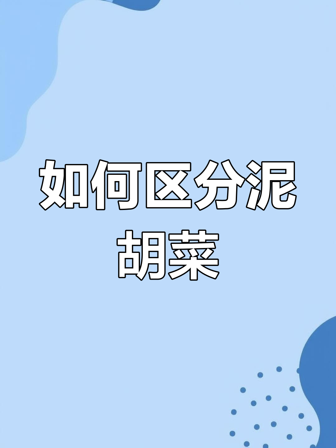 泥胡菜与蒲公英荠菜的辨别技巧,春天最早出现的植物之一