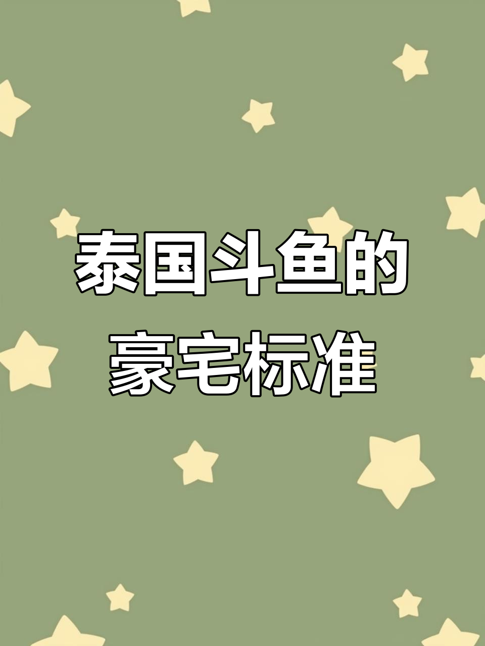 泰国斗鱼：高贵的热带贵族，如何打造豪华水族环境