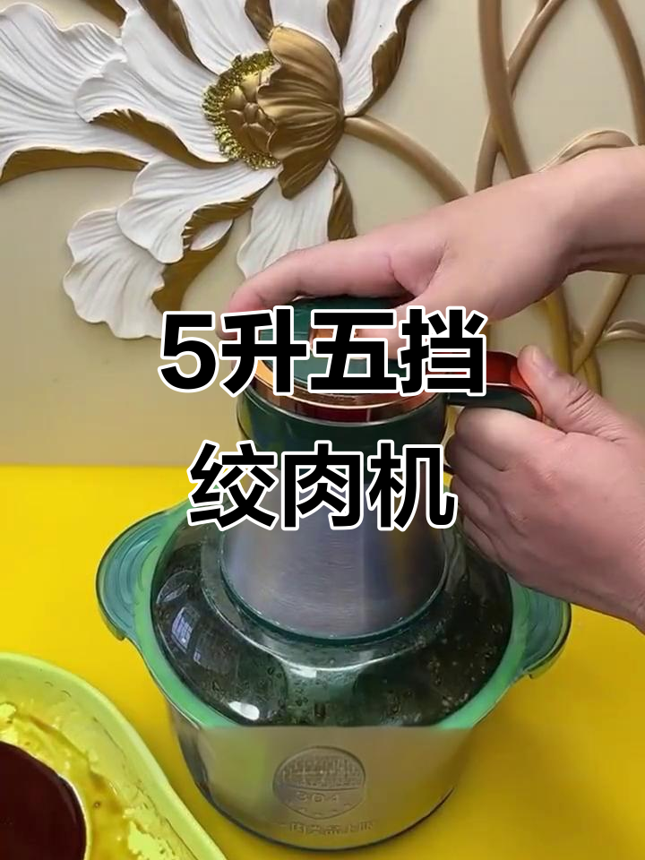 五升大容量电动绞肉机,多功能操作轻松掌握