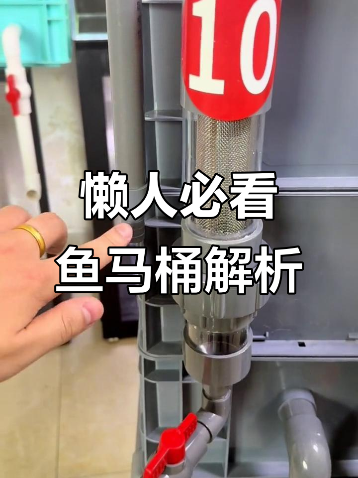 鱼马桶工作原理揭秘，周转箱升级必备神器