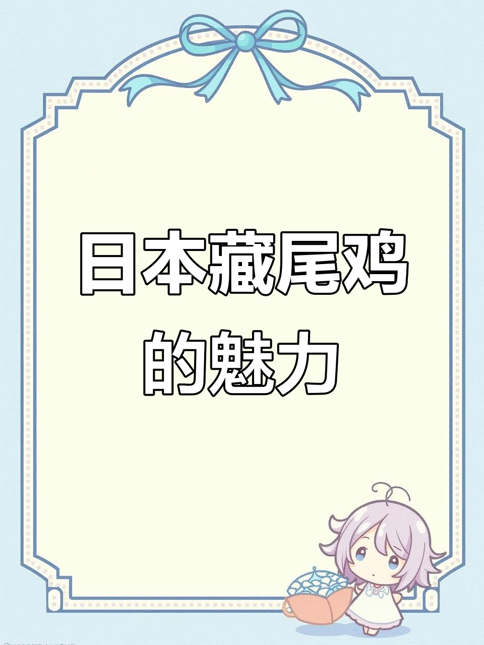 日本长尾鸡:美丽观赏与高产繁殖,五谷杂粮喂养